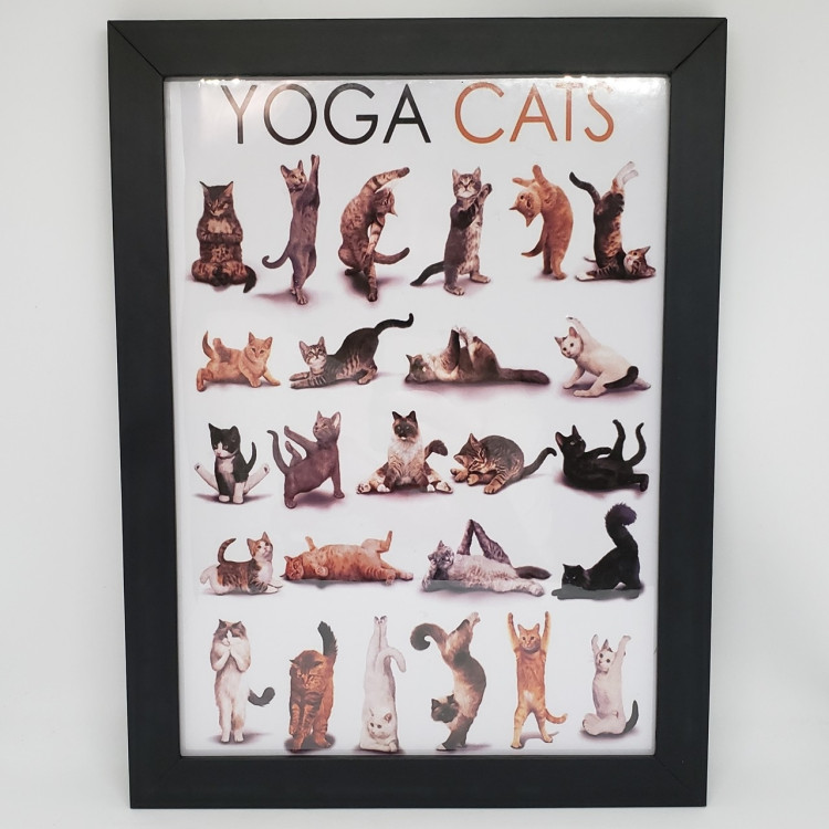 Quadro Yoga Cats - Imagem: 1