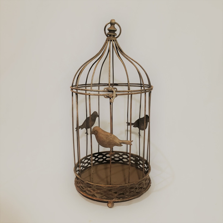 Gaiola passarinhos - Imagem: 1