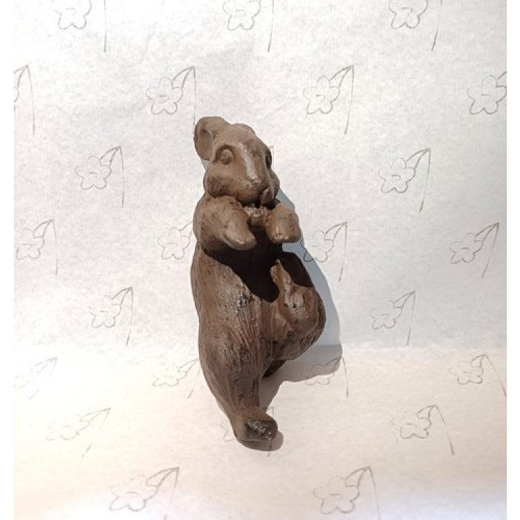 coelho agarra agarra  - Imagem: 2