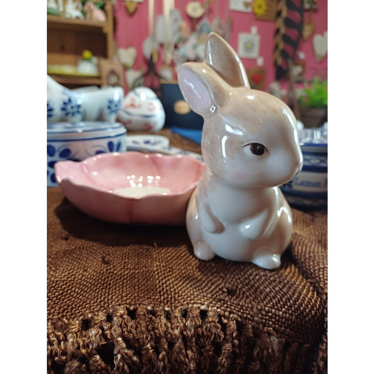 Petisqueira coelho Lola  - Imagem: 2