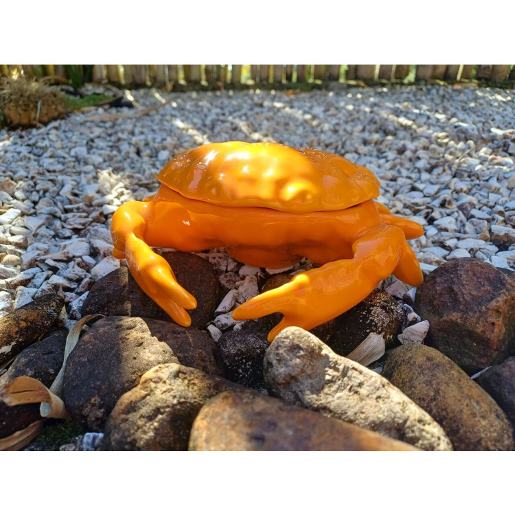 Caranguejo para aperitivo - Imagem: 2