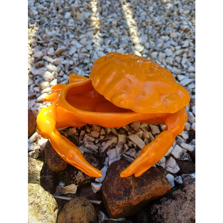 Caranguejo para aperitivo - Imagem: 4