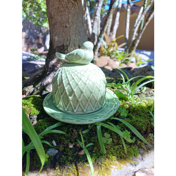 Mini mantegueira aurora verde - Imagem: 2