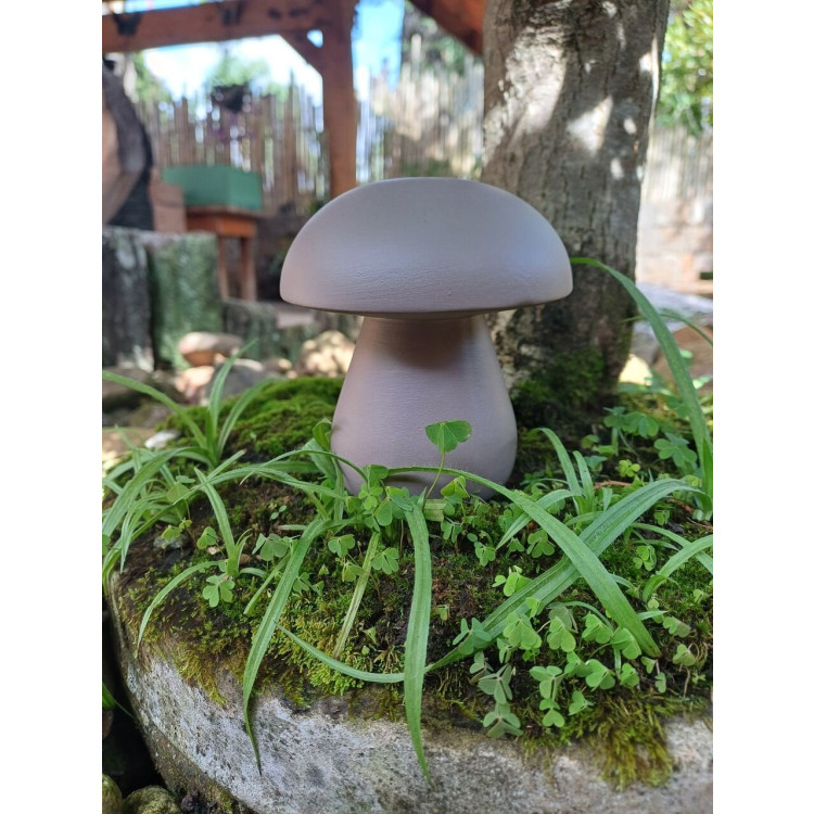 Mini cogumelo cosmo fosco. - Imagem: 3
