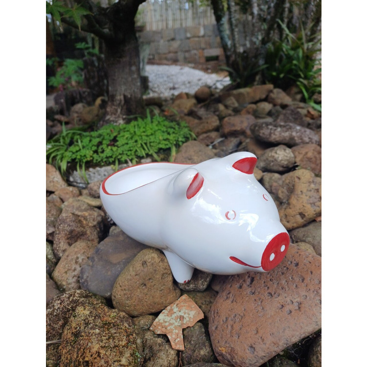 Bowl Porquinho M  - Imagem: 2