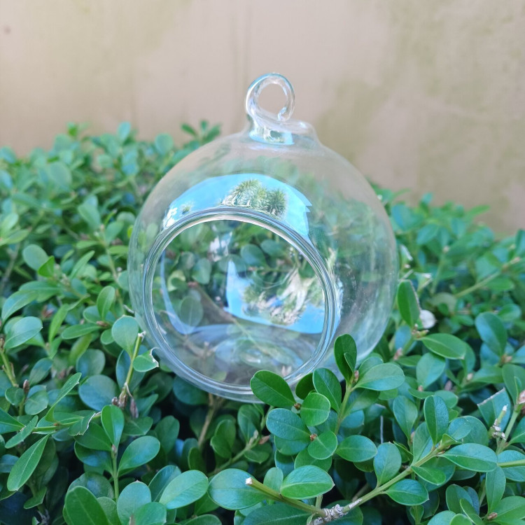 Esfera de vidro com abertura P  - Imagem: 2