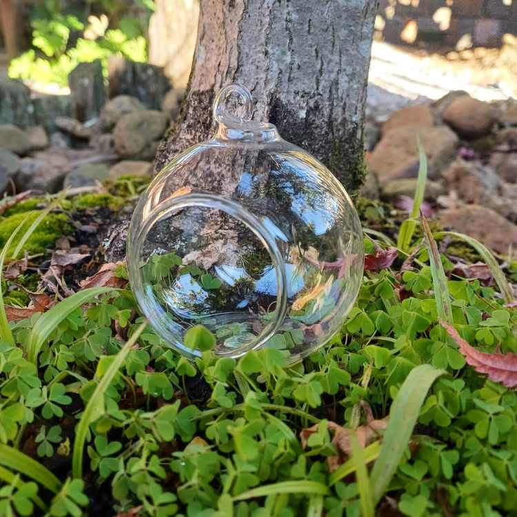 Esfera de vidro com abertura P  - Imagem: 3