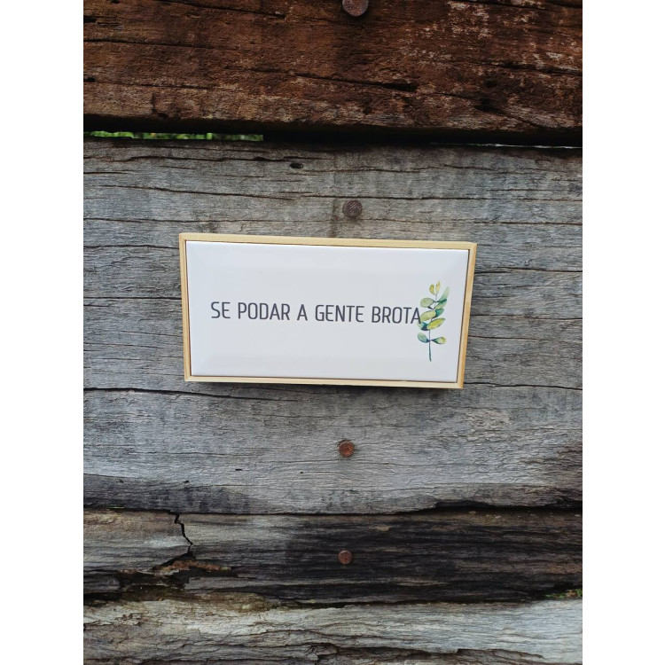 Azulejo divertido podar - Imagem: 2