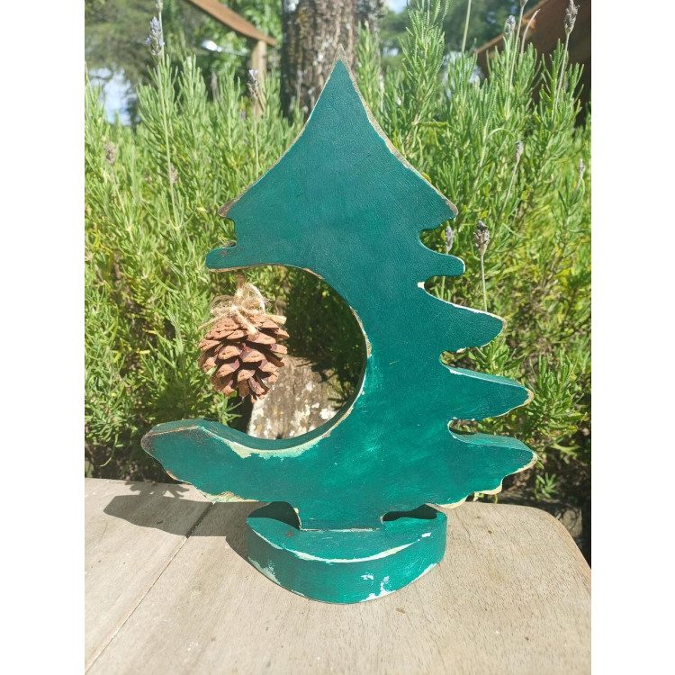 Pinheirinho com pinha  - Imagem: 2