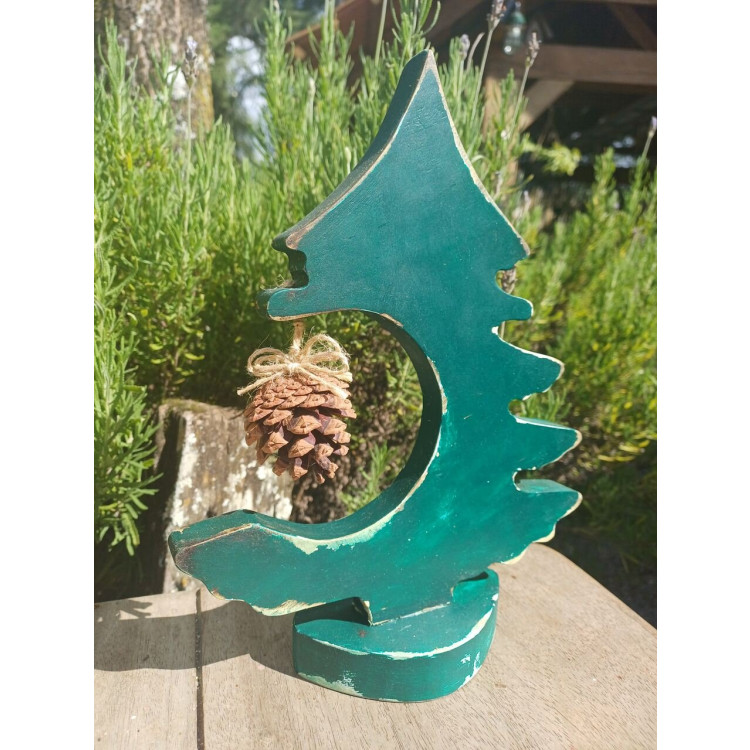 Pinheirinho com pinha  - Imagem: 3