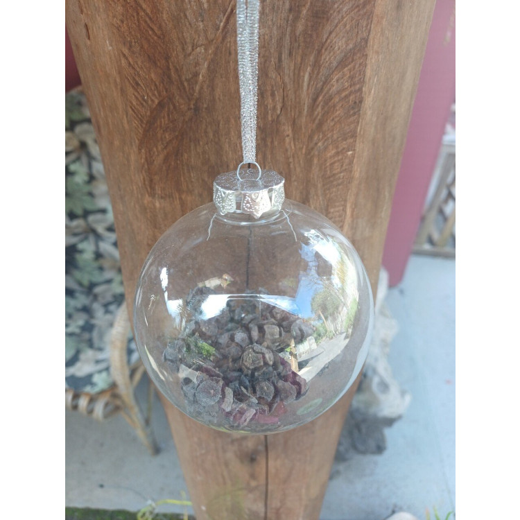 bola transparente co sementes  - Imagem: 3