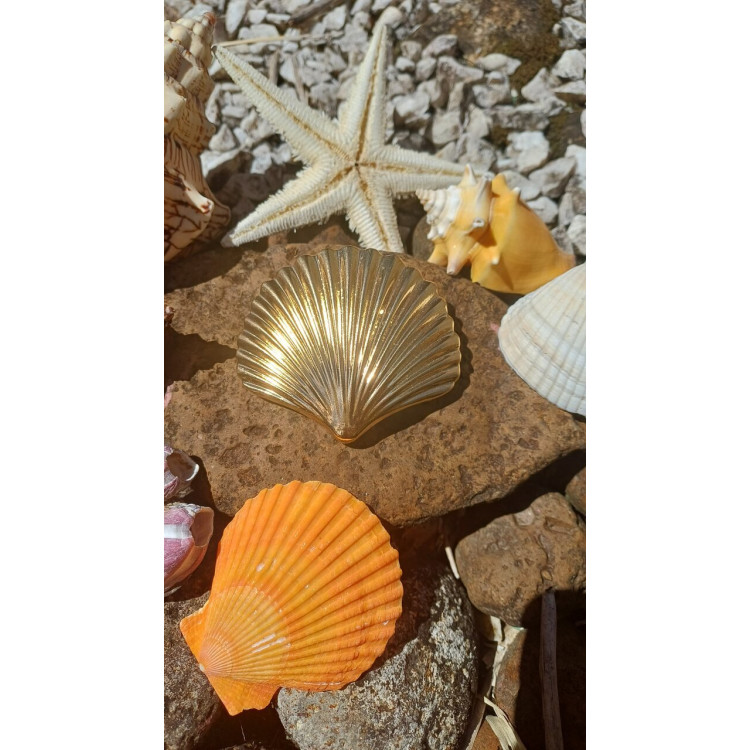 Prendedor de cabelo concha em metal  - Imagem: 2