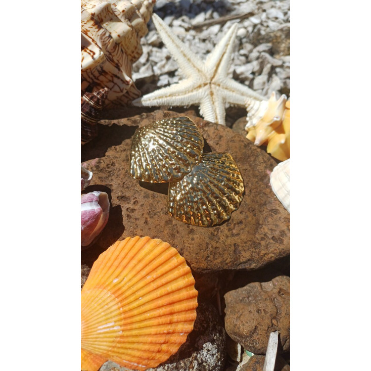 Prendedor de cabelo par de conchas  - Imagem: 2