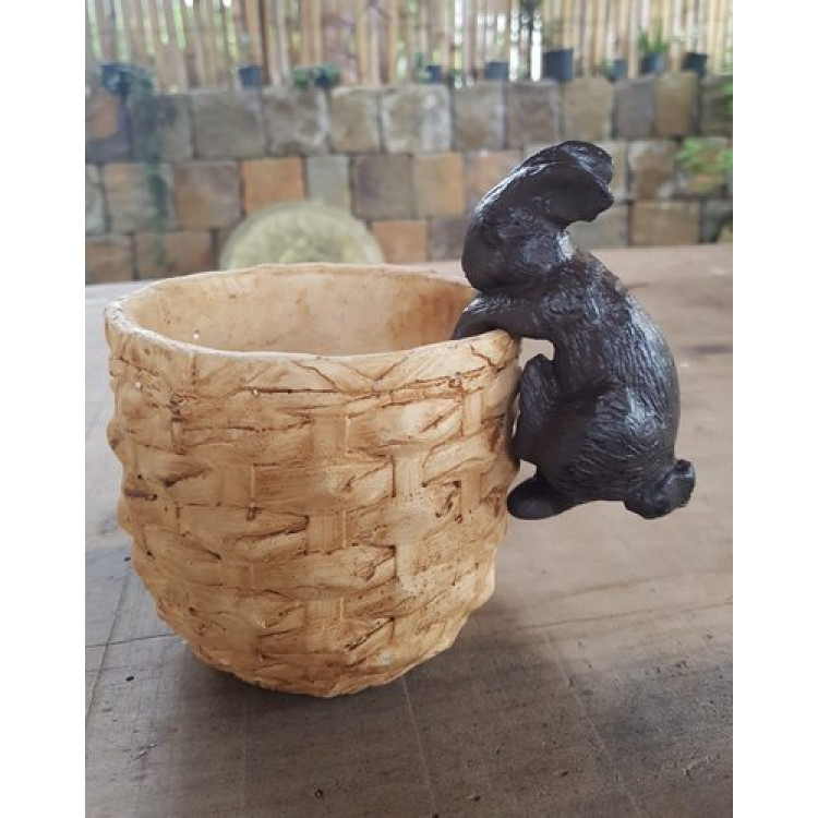 coelho agarra agarra  - Imagem: 3