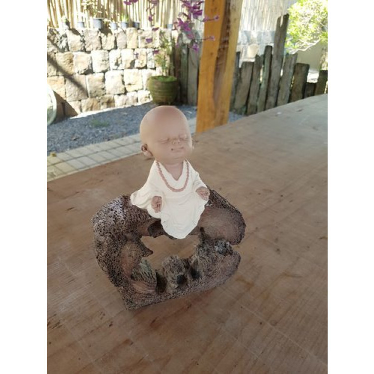 mini monge meditando no tronco  - Imagem: 2