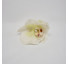 Argola orquídea - Imagem: 1