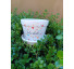 Vaso Felicidade - Imagem: 2
