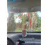 Mini aromatizador madeiras brancas 10ML - Imagem: 4