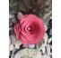 Caixa box flor vermelha  - Imagem: 4