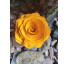 Caixa box flor amarela - Imagem: 4