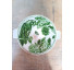 Sopeira floral verde 4L - Imagem: 3
