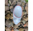 Bowl Porquinho M  - Imagem: 4