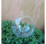 Esfera de vidro com abertura G - Imagem: 2