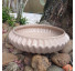 Centro de mesa / vaso ikebana freezon madagascar - Imagem: 3