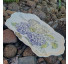 Travessa M hortensia - Imagem: 3