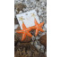 Brinco estrela do mar laranja  - Imagem: 3
