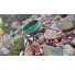 suporte com bowl - Imagem: 2