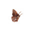 Anel borboleta  - Imagem: 1
