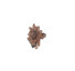 Anel flor marrom  - Imagem: 2