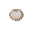 Petisqueira P concha  - Imagem: 1