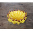 Bowl Banana - Imagem: 4