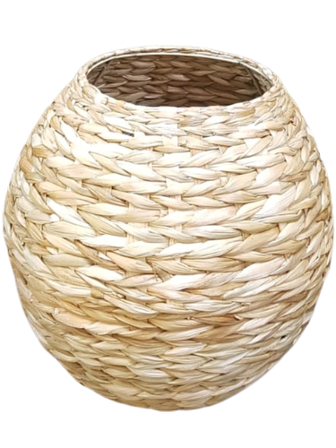 cachepô globo P 
